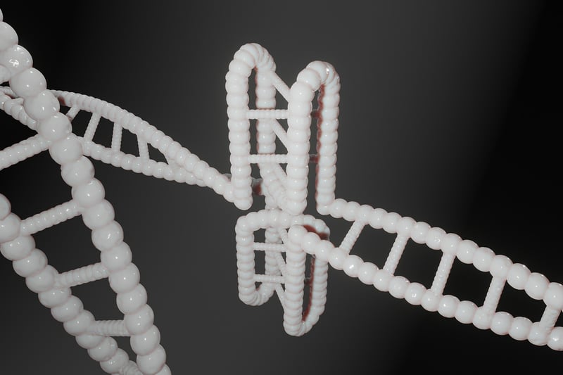 Biochemical Processes